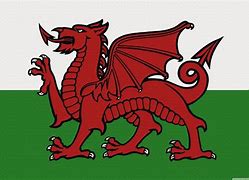 Image result for Welsh National Flag