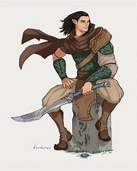 Image result for Half-Elf Fighter