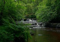 Image result for Forest River Waterfalls