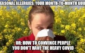 Image result for Allergy Season Meme