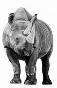 Image result for Black Rhino Stencil