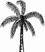 Image result for Original Art Tree Black and White