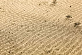 Image result for Sand Texture Close Up