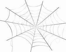 Image result for Spider Web Texture