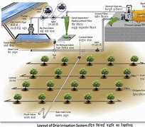 Image result for Large-Scale Drip Irrigation Systems