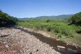 Image result for yungas cloud forest