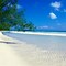 Image result for Bahamas Beaches Sunset