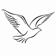 Image result for Draw Birds Flying