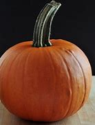 Image result for Fera Pumpkin