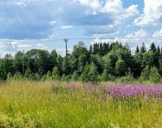 Image result for Blue Sky Field