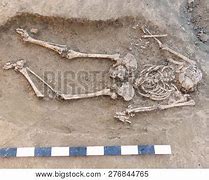 Image result for Archaeological Human Bones