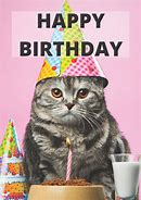 Image result for Happy Birthday From a Cat