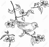 Image result for Bird On Branch Drawing