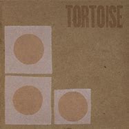 Image result for Box Tortoise