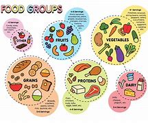 Image result for 6 Food Groups for Kids