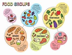 Image result for Food Groups Names