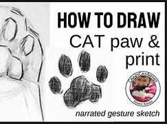 Image result for Cat Paw Print Drawing