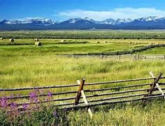 Image result for Wisdom Montana