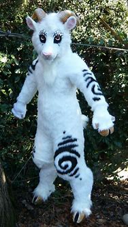 Image result for Furry Costumes