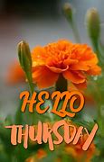 Image result for Have a Great Thursday Winter