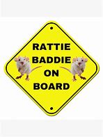 Image result for Baddie Rat