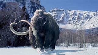 Image result for The Ice Age Period