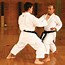 Image result for How to Do a Karate Kick