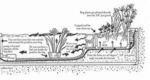 Image result for Bottom of Bog Diagram