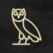 Image result for Drake Owl