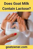 Image result for Goat Milk Lactose