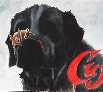 Image result for Cujo Dog Cartoon