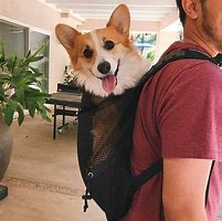 Image result for Corgi Mini Backpack