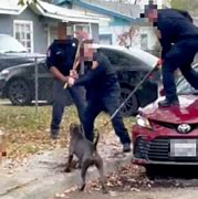 Image result for Confirmed Dogman Kill