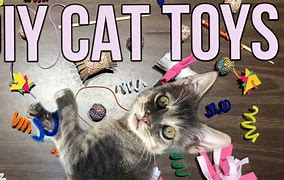 Image result for DIY Cat Toys Simple