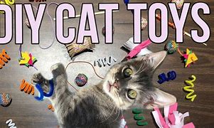 Image result for Easy DIY Cat Toys