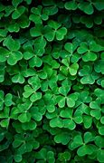 Image result for Lucky Wallpaper 4K