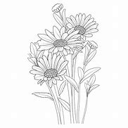 Image result for Hand Drawn Daisy Flower