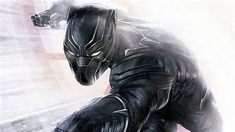 Image result for Black Panther Fight