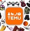 Image result for Temu Space Art