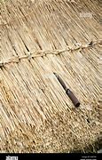 Image result for Interior Side Thatch Roof