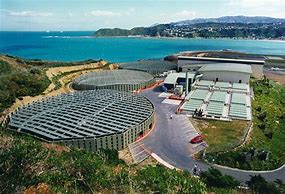 Image result for Wellington River