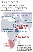 Image result for ancient khoisan dna