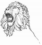 Image result for Simple Lion Drawing Pencil