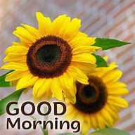 Image result for Good Morning Orange Flowers