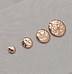 Image result for Rose Gold Stud Earrings for Boys