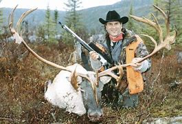 Image result for Labrador Caribou