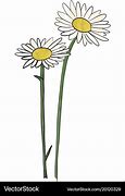 Image result for Hand Drawn Daisy Flower