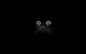 Image result for Black Cat Background 4K