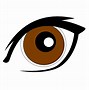 Image result for Human Eye with Eyebrow