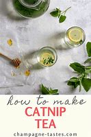 Image result for Cat On Catnip Tea